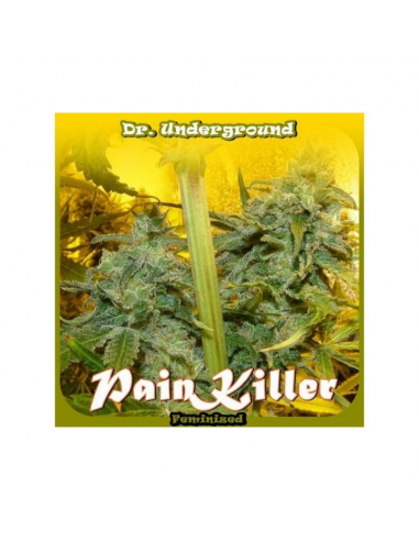 Dr Underground Painkiller Fem. - Imagen 1