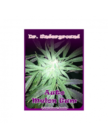 Dr Underground Auto Melon Gum - Imagen 1