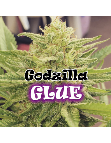 Dr Underground Godzilla Glue Fem. - Imagen 1