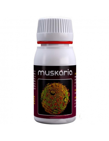 Agrobacterias Muskaria 60ml - Imagen 1