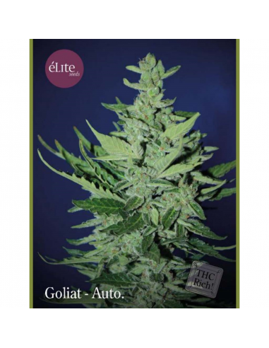 Elite Seeds Goliat Auto - Imagen 1