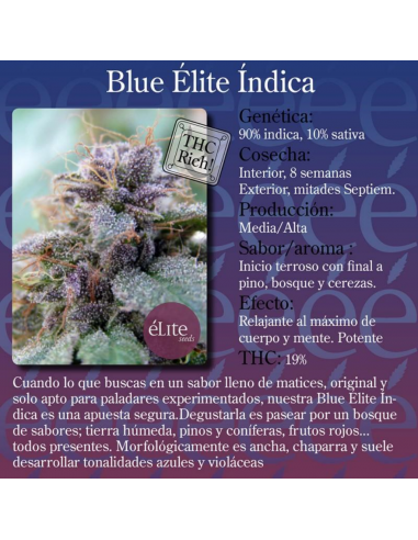 Elite Seeds Blue Elite Indica Fem. - Imagen 1