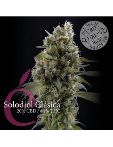 Elite Seeds Solodiol CBD Fem. - Imagen 1