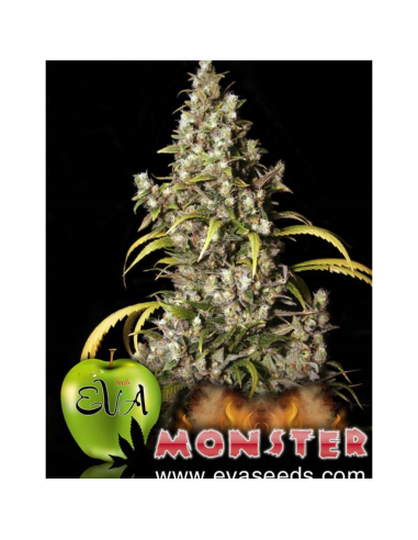 Eva Seeds Monster Fem - Imagen 1