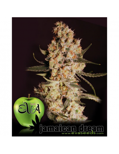 Eva Seeds Jamaican Dream Fem. - Imagen 1