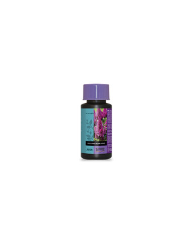 Atami B´Cuzz Blossom Builder Liquid (100ml a 5L) - Imagen 1