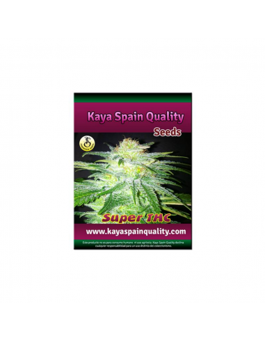 Kaya Spain Quality Super THC Fem. - Imagen 1