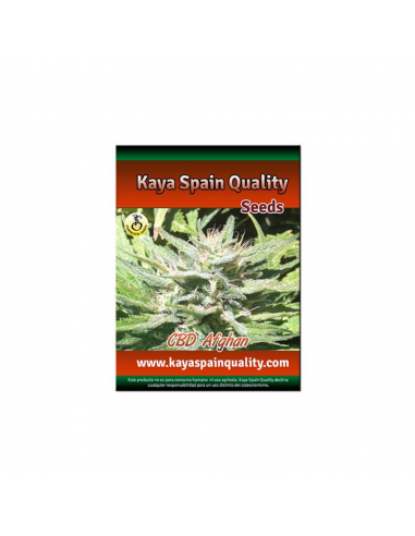 Kaya Spain Quality CBD Afghan Fem. - Imagen 1