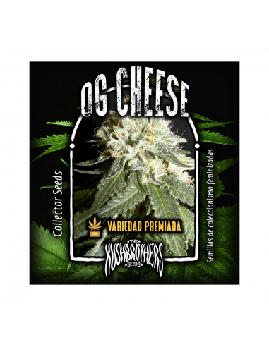 The Kush Brothers OG Cheese Fem - Imagen 1