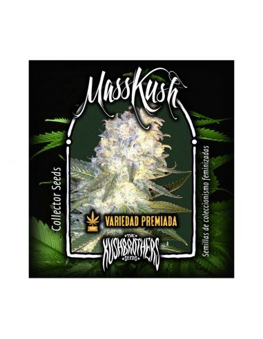 The Kush Brothers Mass Kush Fem - Imagen 1