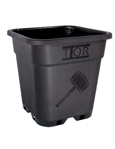 Maceta Greenvass Thor Cuadrada Negra (31x31x31,6) 18L - Imagen 1