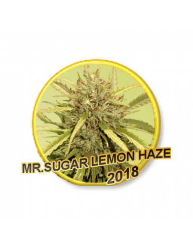 Mr. Hide Mr. Sugar Lemon Haze Fem. - Imagen 1