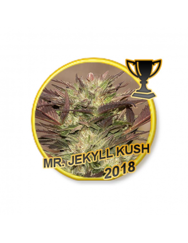 Mr. Hide Mr. Jekyll Kush Fem. - Imagen 1