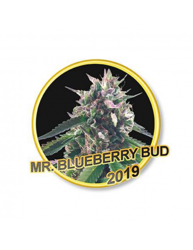 Mr. Hide Mr. Blueberry Bud Fem. - Imagen 1