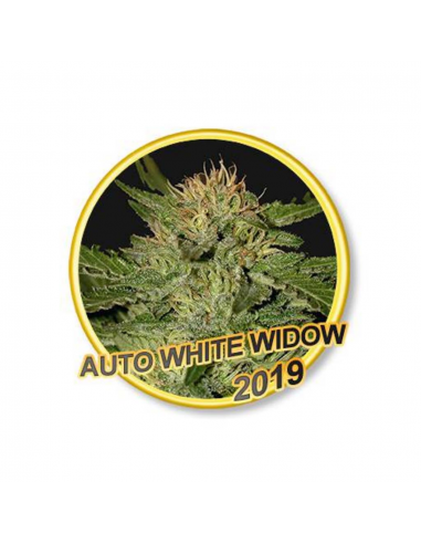 Mr. Hide Auto White Widow - Imagen 1