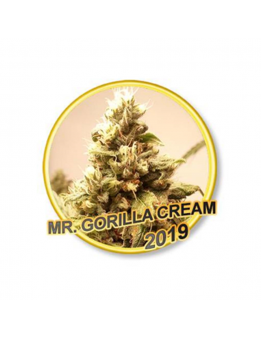 Mr. Hide Mr. Gorilla Cream Fem. - Imagen 1