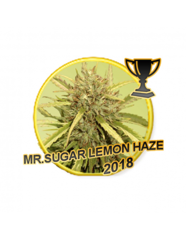 Mr. Hide Mr. Sugar Lemon Haze Reg - Imagen 1