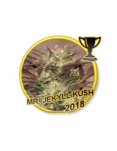 Mr. Hide Mr. Jekyll Kush Reg - Imagen 1