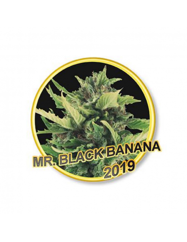 Mr. Hide Mr. Black Banana Reg - Imagen 1