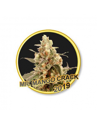 Mr. Hide Mr. Mango Crack Reg - Imagen 1