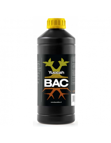 B.A.C. Yuccah - Imagen 1