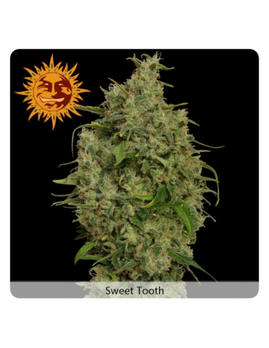 Barney´S Farm Sweet Tooth Fem - Imagen 1