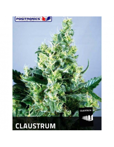 Positronics Claustrum Fem - Imagen 1