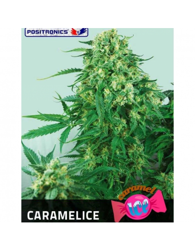 Positronics Caramelice Fem - Imagen 1