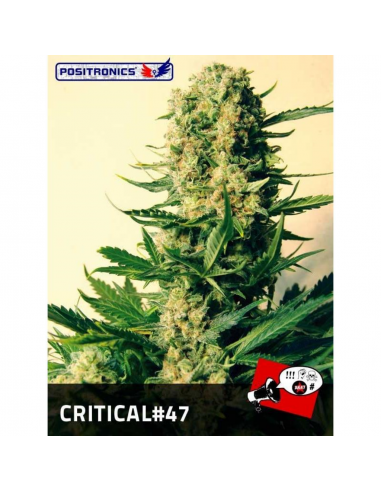 Positronics Critical 47 Fem - Imagen 1