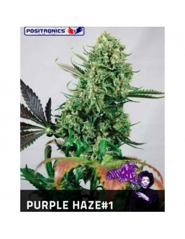 Positronics Purple Haze Fem - Imagen 1