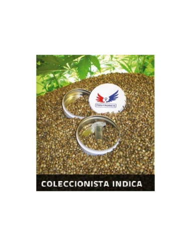 Positronics Coleccionista Indica 6Und Fem - Imagen 1