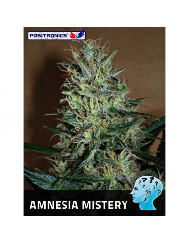 Positronics Amnesia Mistery Fem - Imagen 1