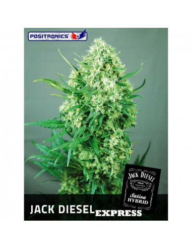 Positronics Jack Diesel Express 5Und - Imagen 1