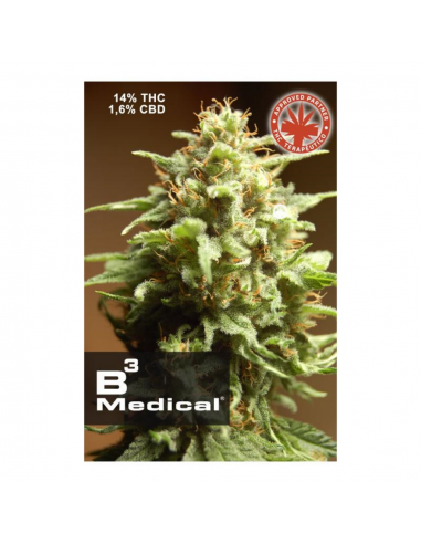 Pure Seeds B3 Medical - Imagen 1