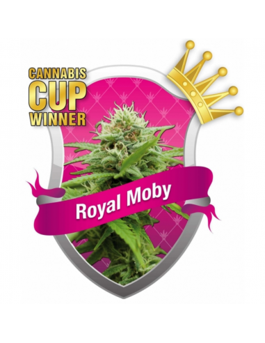 Royal Queen Royal Moby Fem. - Imagen 1