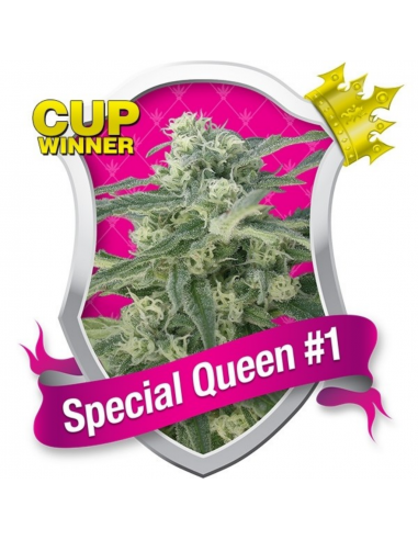 Royal Queen Special Queen 1 Fem. - Imagen 1