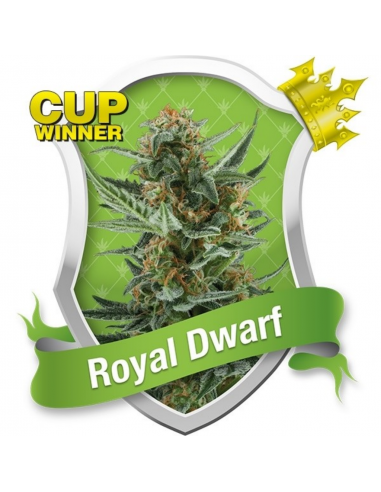 Royal Queen Royal Dwarf Auto - Imagen 1