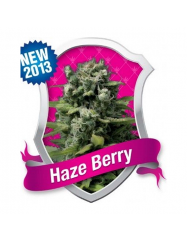 Royal Queen Haze Berry Fem. - Imagen 1