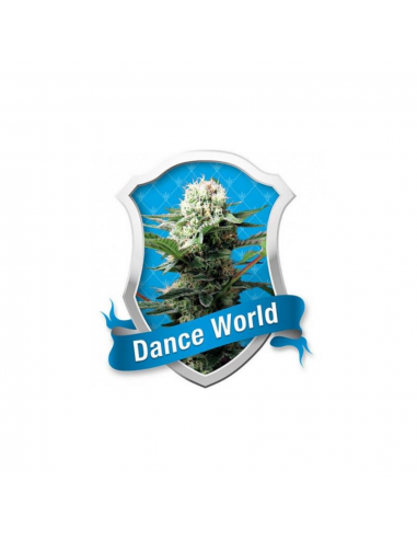 Royal Queen Dance World Fem. - Imagen 1