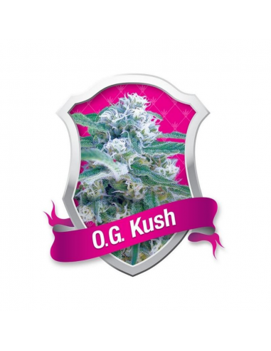 Royal Queen Og Kush Fem. - Imagen 1