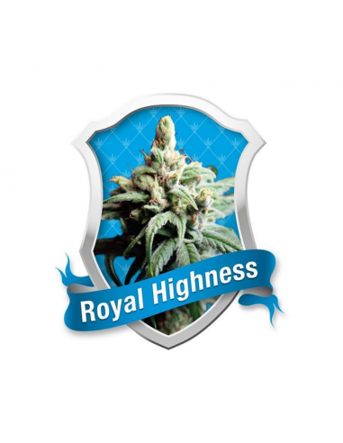 Royal Queen Royal Highness Fem. - Imagen 1