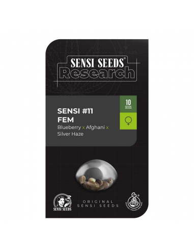 Sensi Seeds Research Sensi #11 Fem - Imagen 1