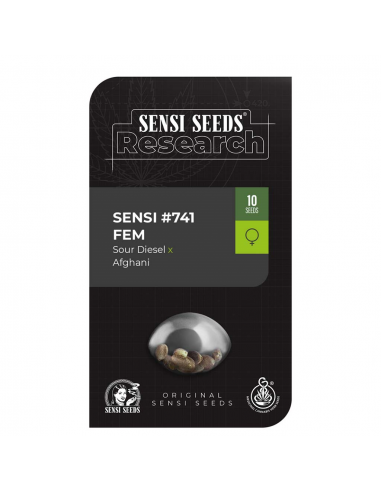 Sensi Seeds Research Sensi #741 fem - Imagen 1