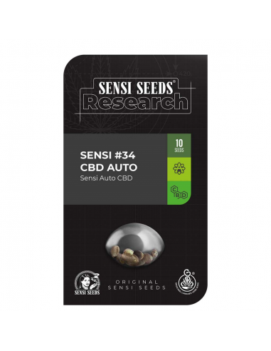 Sensi Seeds research Sensi #34 CBD Auto - Imagen 1