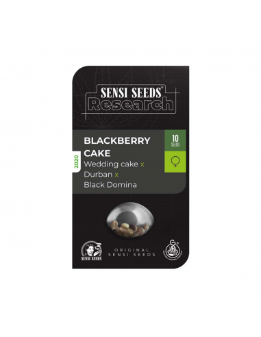 Sensi Seeds Blackberry Cake Fem - Imagen 1