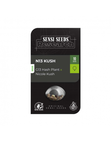 Sensi Seeds N13 Kush Fem - Imagen 1