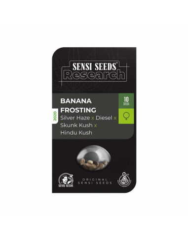 Sensi Seeds Banana Frosting Fem - Imagen 1