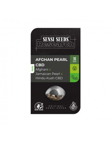 Sensi Seeds Afghan Pearl Auto CBD - Imagen 1