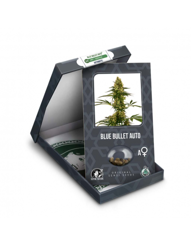 Sensi Seeds Blue Bullet Auto - Imagen 1