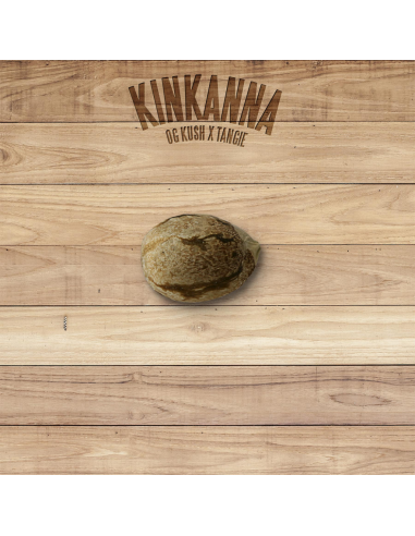 The Plant Kinkanna - Imagen 1